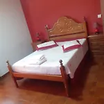 Os Girassois Da Carla