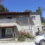 Os Girassois Da Carla